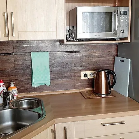 Apartament Raisova *