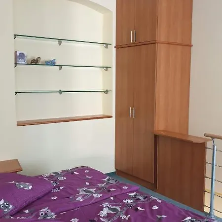 Apartment Raisova