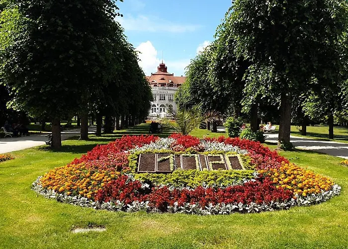 Raisova Karlovy Vary